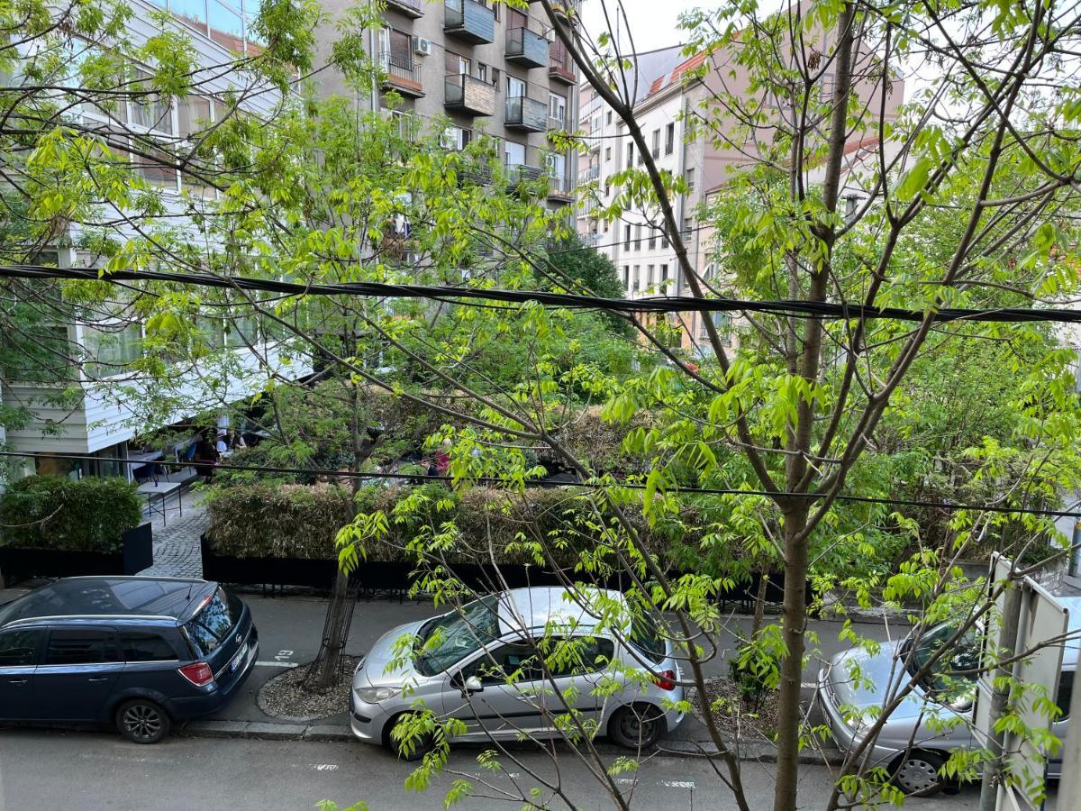 Apartment Ana - City Center Belgrade Extérieur photo